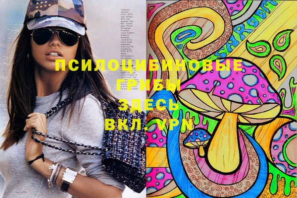прущая мука Арсеньев