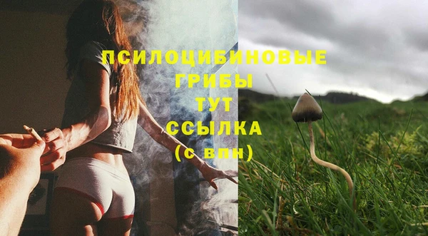 ALPHA PVP Армянск