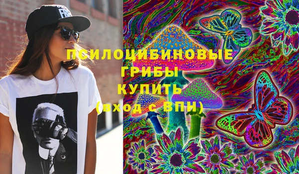 прущая мука Арсеньев
