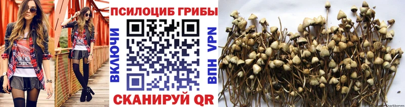 Галлюциногенные грибы ЛСД магазин Суворов